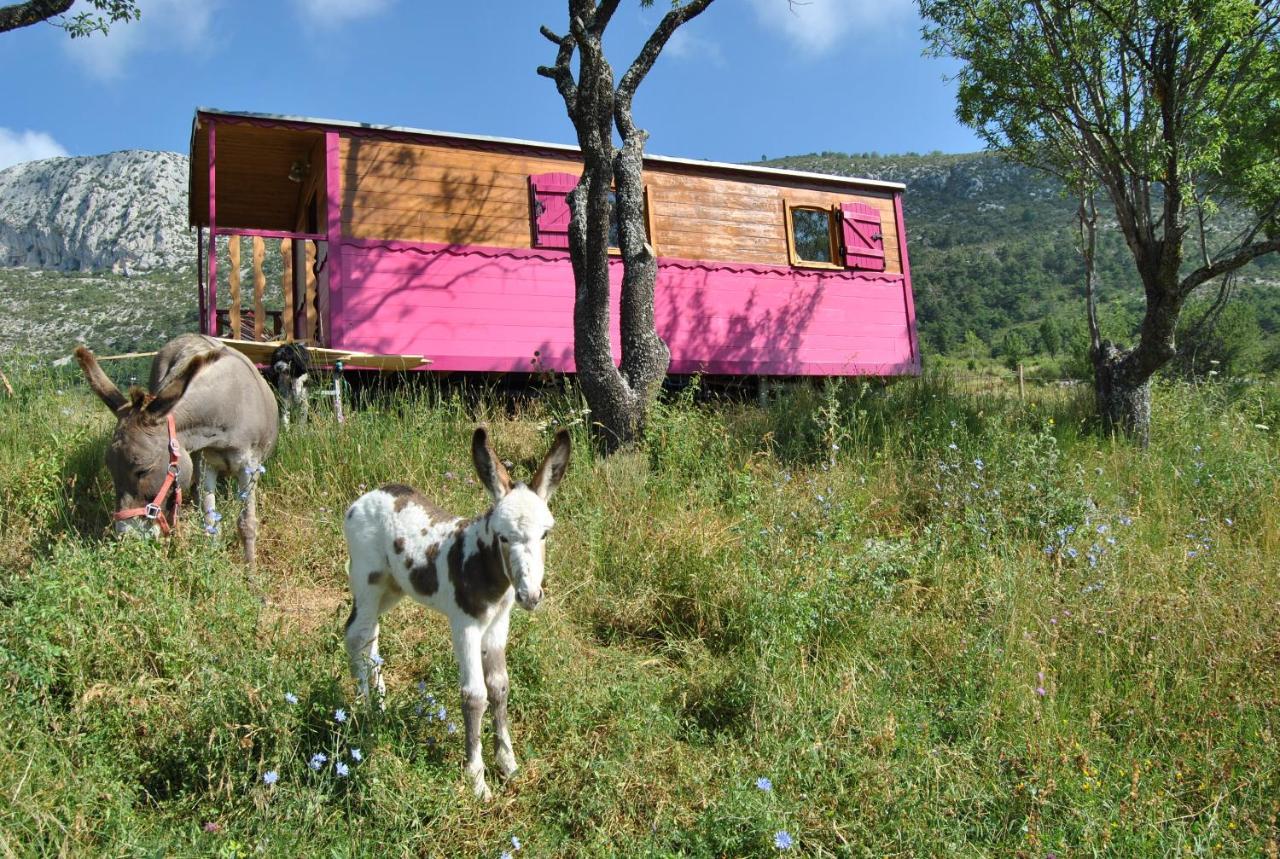 Ferme Saint Pierre Otel Bargème Dış mekan fotoğraf