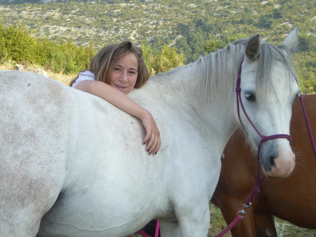 Ferme Saint Pierre Otel Bargème Dış mekan fotoğraf