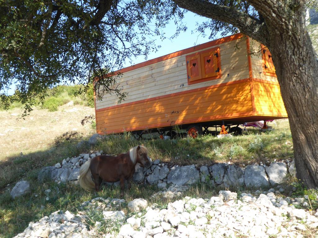 Ferme Saint Pierre Otel Bargème Dış mekan fotoğraf