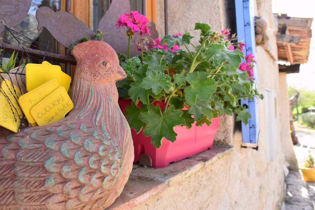 Ferme Saint Pierre Otel Bargème Dış mekan fotoğraf